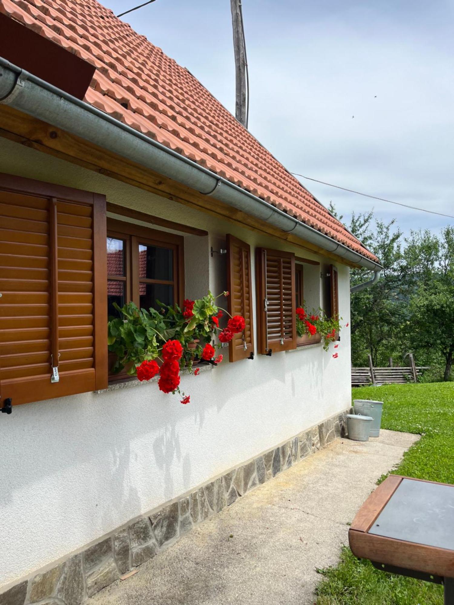 Domacija Brdar Villa Adlesici Exterior photo